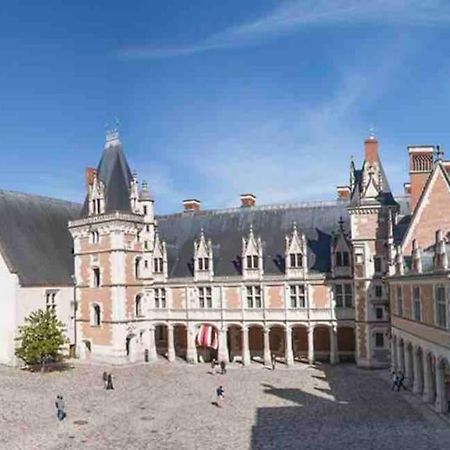 Petite Maison Avec Clim Blois Zewnętrze zdjęcie