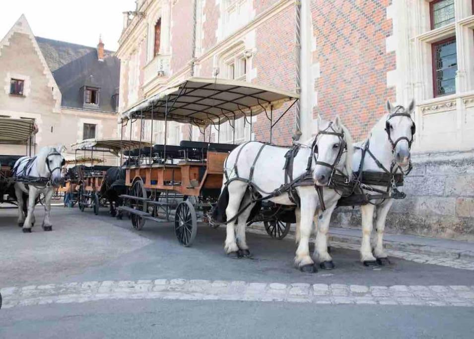 Petite Maison Avec Clim Blois Zewnętrze zdjęcie
