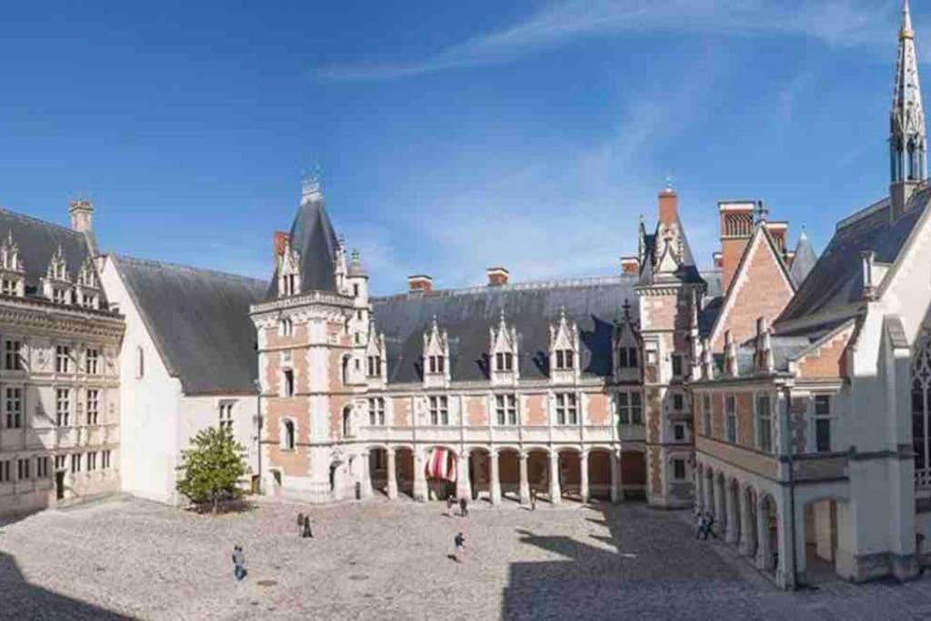 Petite Maison Avec Clim Blois Zewnętrze zdjęcie